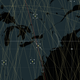 Illustration for article titled Find Your House On This Map and Watch the Satellites Passing Above You
